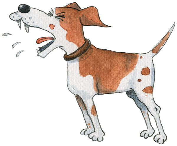 Abbildung Jack Russel Terrier